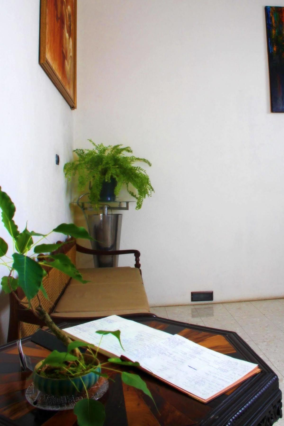 Lodge 19 Negombo Eksteriør billede